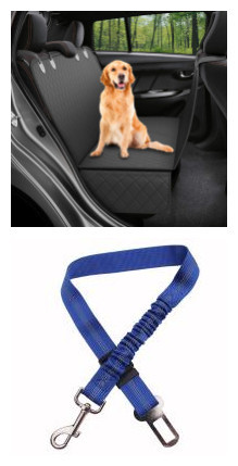 1618824893307.jpg Golden retriever sitting on the back seat of a car with a blue adjustable pet seat belt leash beside it, emphasizing travel safety for pets.