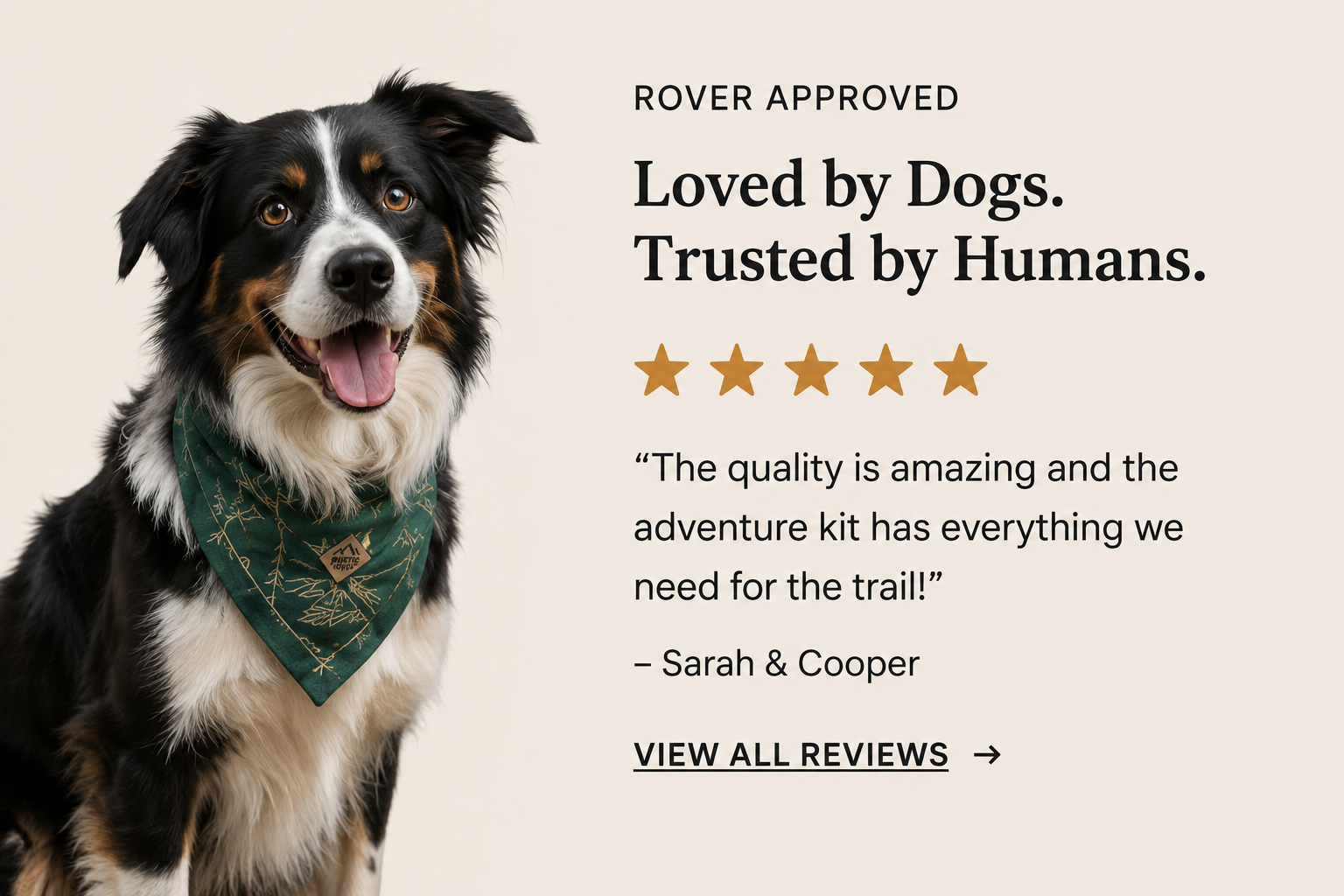 Happy Bernese dog wearing green bandana next to praise text and 5-star rating, promoting dog-friendly products/reviews on a beige background.